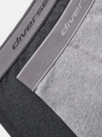 Набір трусів DIVERSE Mustakl 2p 261 модель 10048712 Фото