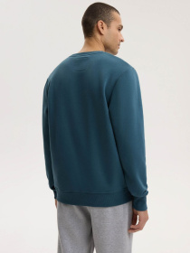 Світшот DIVERSE Basecrew S261 модель 10048760 Фото