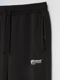 Штаны спортивные DIVERSE Dext Skull Sp1 модель 10048761 Фото