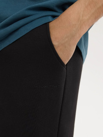 Штаны спортивные DIVERSE Basesp S261 модель 10048765 Фото