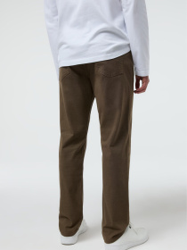 Повседневные штаны DIVERSE Radek модель 10048783 Повседневные штаны DIVERSE Radek модель 10048783 Фото