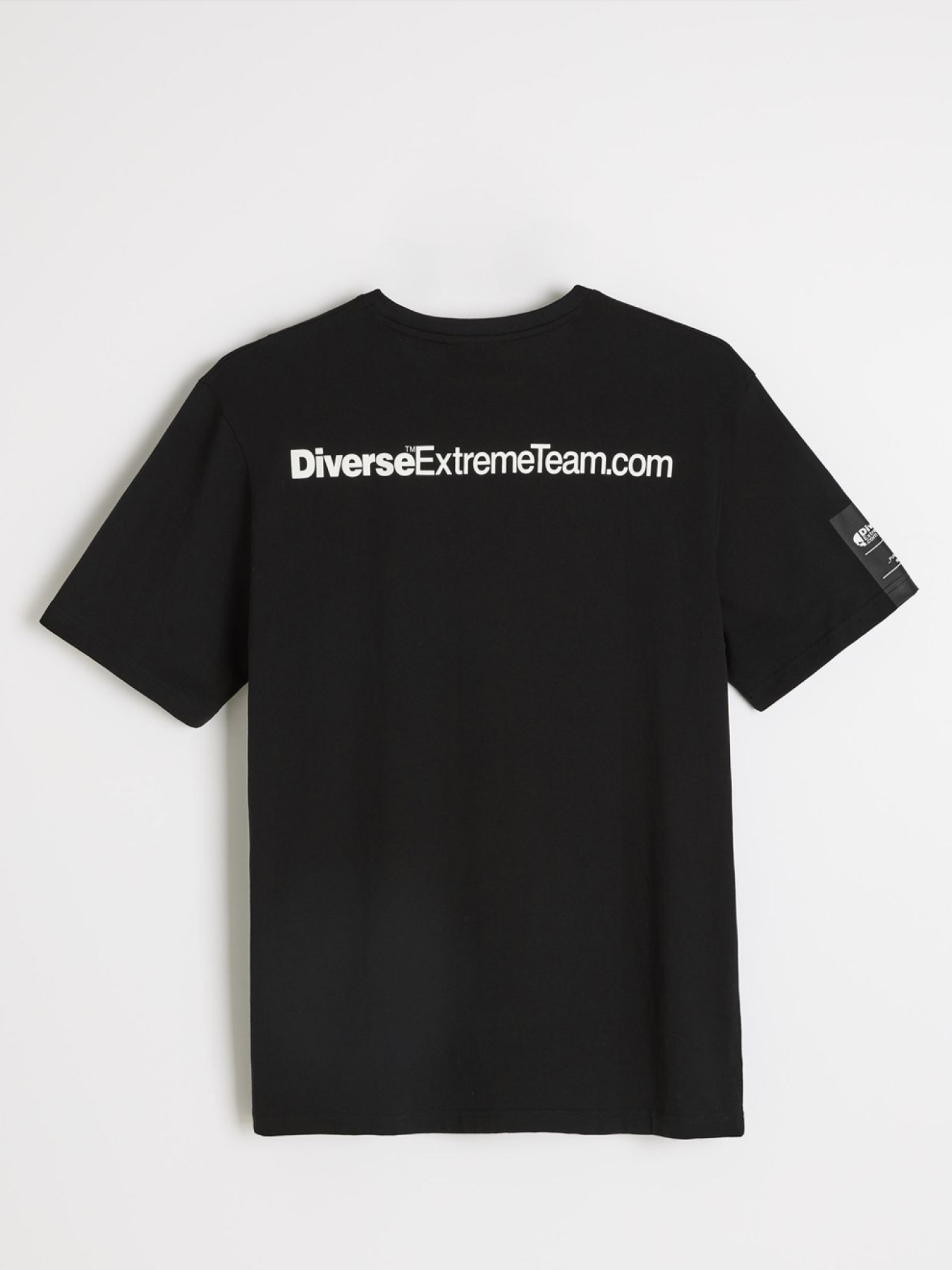 Футболка DIVERSE Dext Skull T2 модель 10048790 Фото