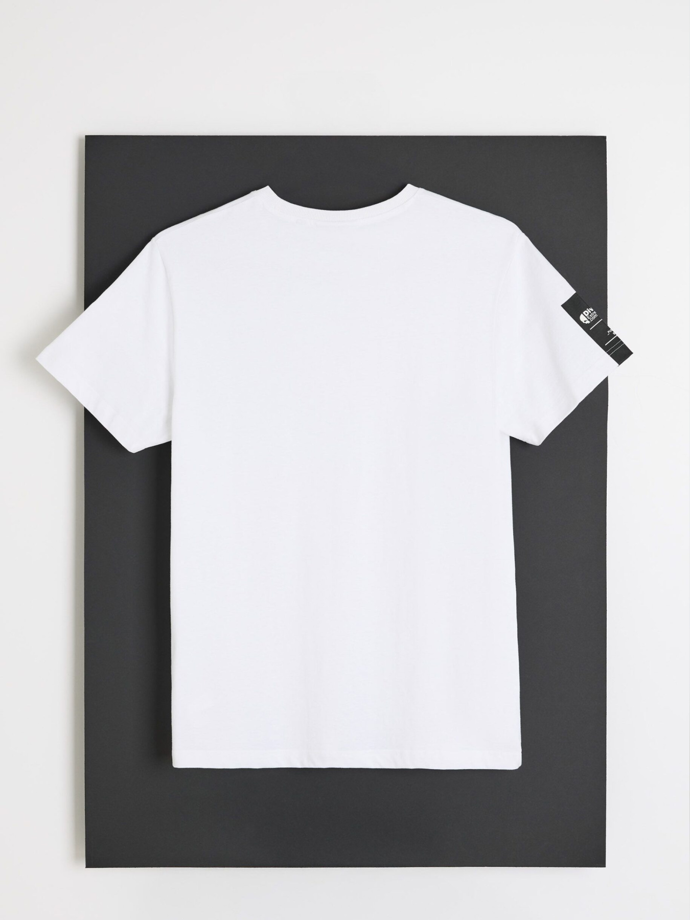 Футболка мужская DEXT LOGO TSM 261 с логотипом белая модель 10048794 Фото