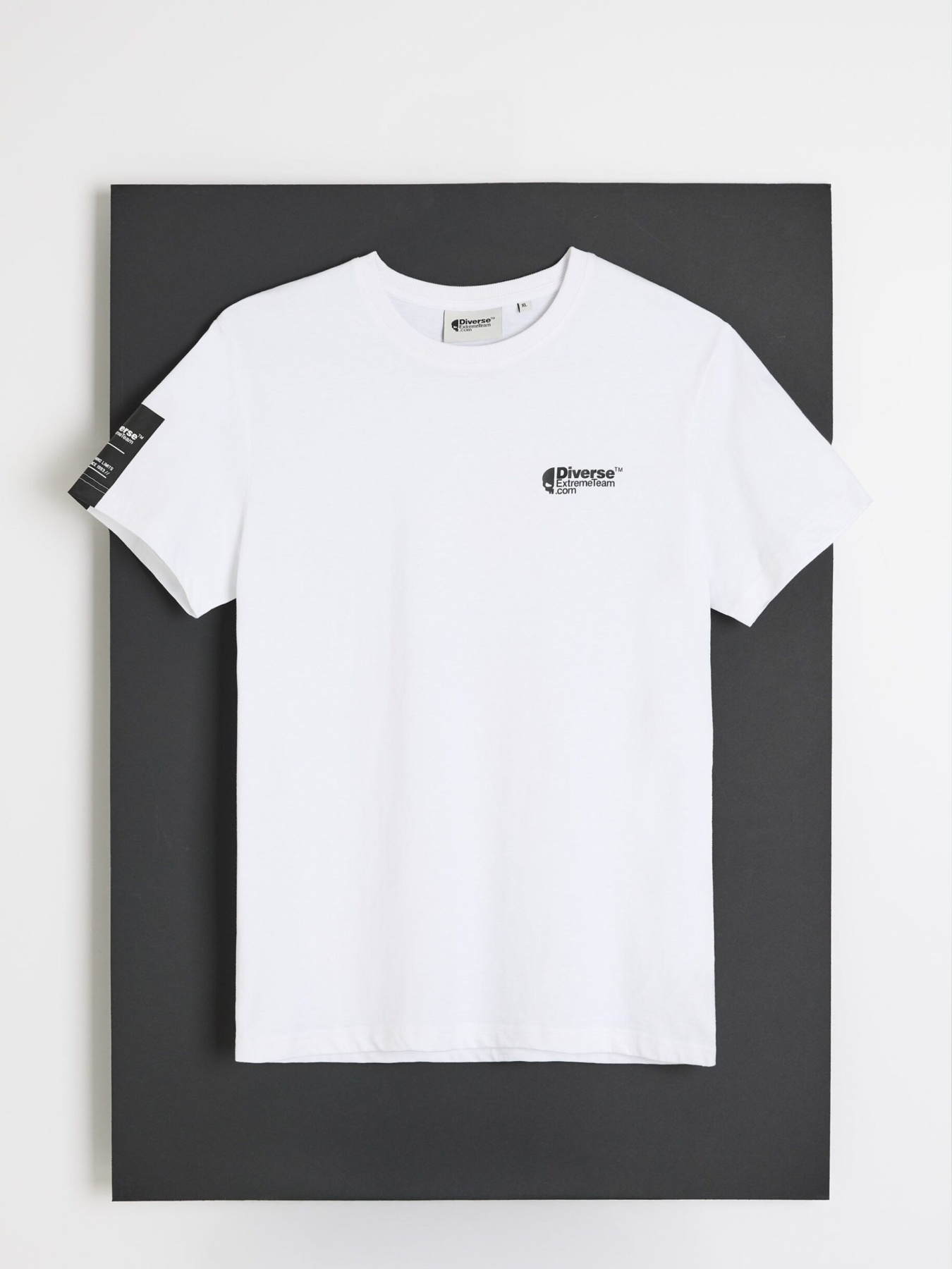 Футболка мужская DEXT LOGO TSM 261 с логотипом белая модель 10048794 Фото