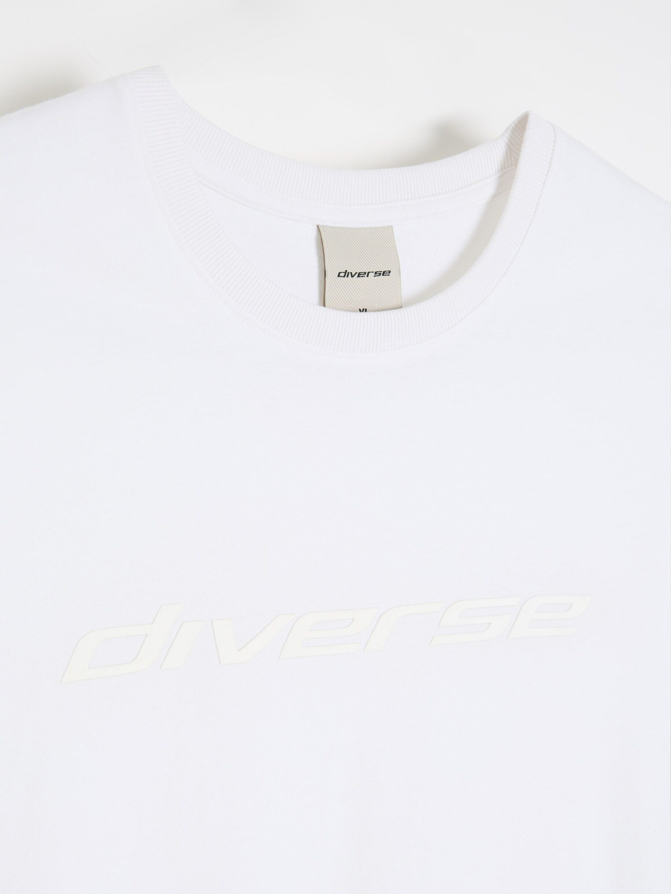 Футболка DIVERSE Core Logo 261a модель 10048802 Фото