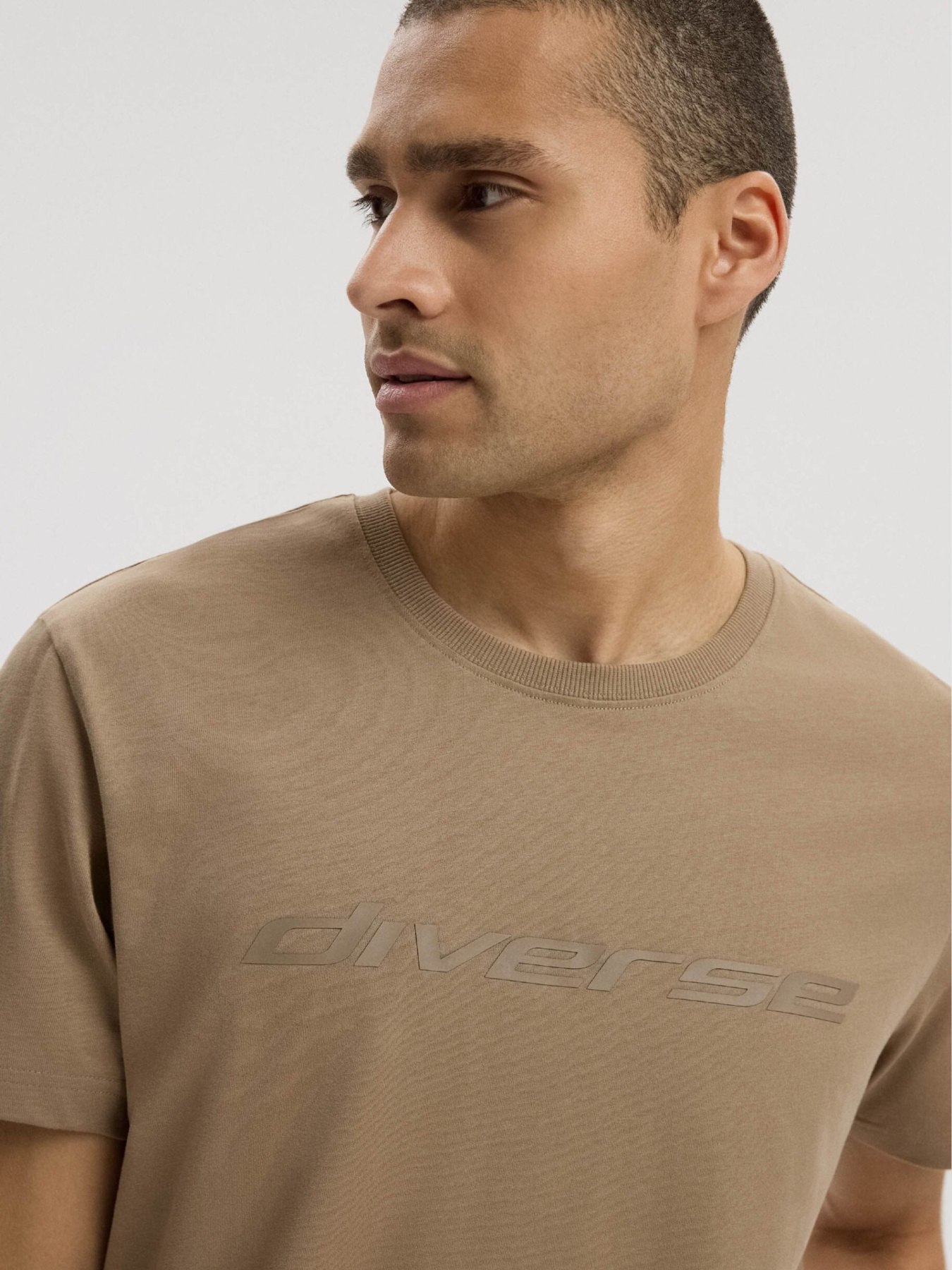 Футболка DIVERSE Core Logo 261a модель 10048802 Фото