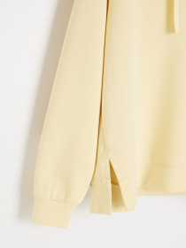 Худи DIVERSE Modalis B 261 модель 10048824 Худи DIVERSE Modalis B 261 модель 10048824 Фото