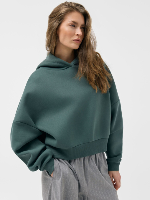 Худи DIVERSE Furre B 261 модель 10048827 Фото