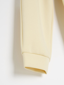 Спортивные штаны женские LADIMOS B 261 светло-желтые модель 10048869 Фото