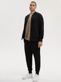 Толстовка мужская BASEBOMBER S на молнии чёрная модель 10049297 Фото