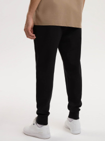 Штаны спортивные DIVERSE Baseinter S 261 модель 10049298 Фото