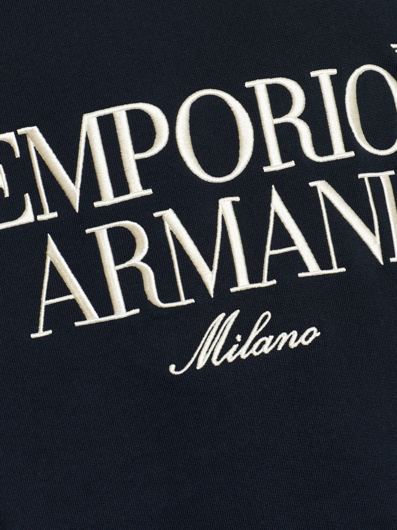 Худи и свитшоты Emporio Armani модель EM005198-AF13713-UB118 Фото