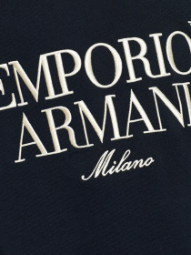 Худи и свитшоты Emporio Armani модель EM005198-AF13713-UB118 Фото
