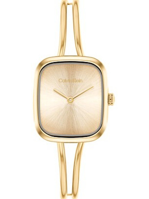 Часы Calvin Klein модель 25100132 Фото