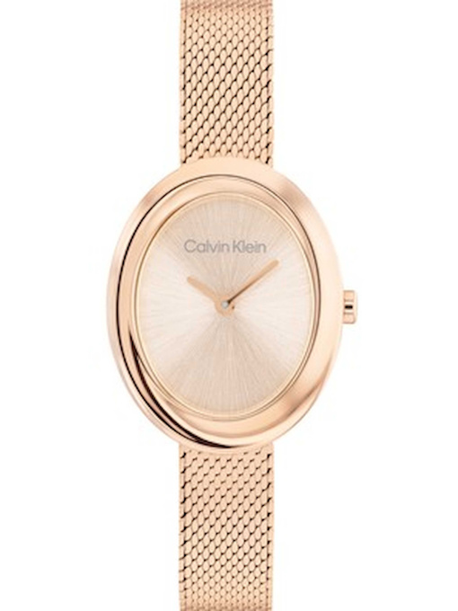 Часы Calvin Klein модель 25100153 Фото