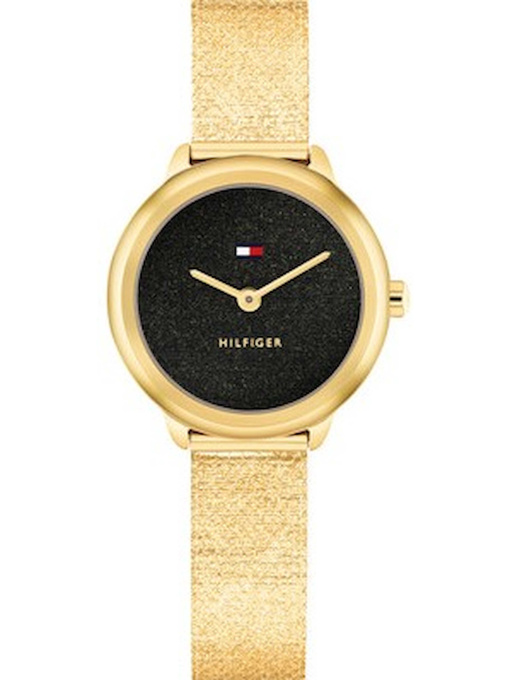 Часы Tommy Hilfiger модель 1782813 Фото