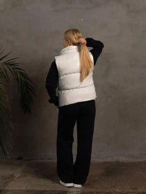 Утеплений жилет Tian модель Star-T Фото