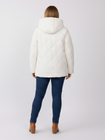 Демисезонная куртка STREAM модель 704284 Фото