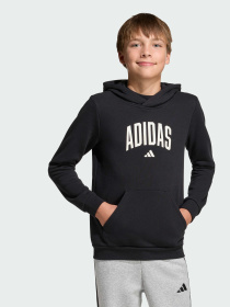 Худі CODES COLLEGIATE GRAPHIC модель KA2990 Фото