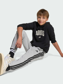 Худі CODES COLLEGIATE GRAPHIC модель KA2990 Фото