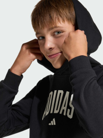 Худі CODES COLLEGIATE GRAPHIC модель KA2990 Фото