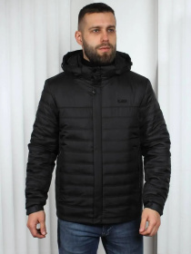 Мужская демисезонная куртка модель 124-DVL Фото