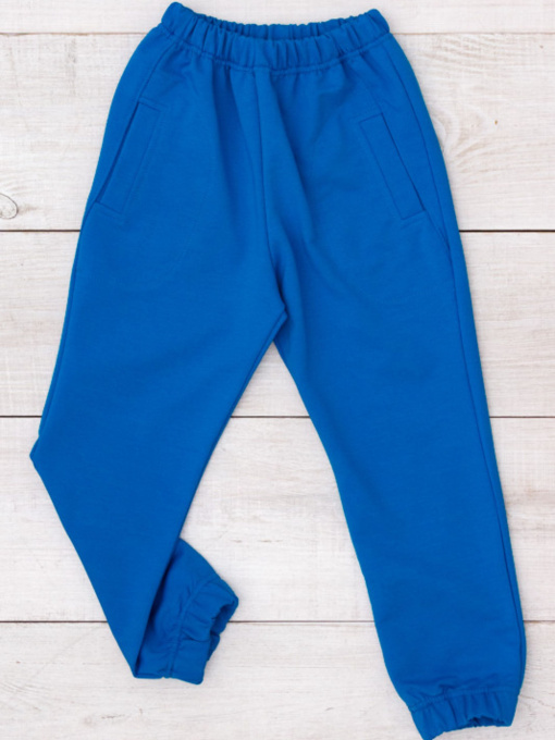 Джоггеры Носи своє модель 6060-057-4-bryuzova-blakitx Фото