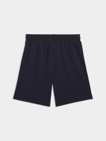 Шорти PUMA Class Graphic Shorts Men модель 692230 Фото