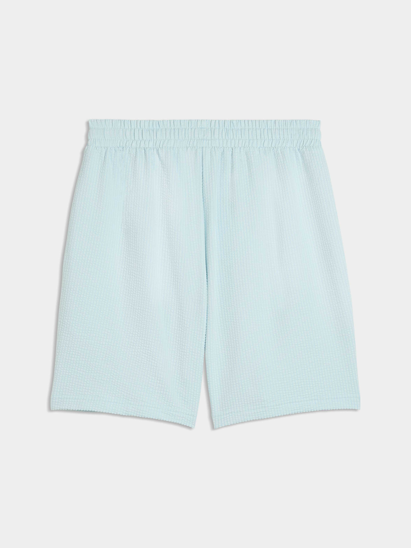 Повседневные шорты PUMA Ess Elevated Material Shorts модель 692057 Фото