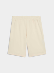 Шорти PUMA Ess Block Shorts модель 691701 Фото
