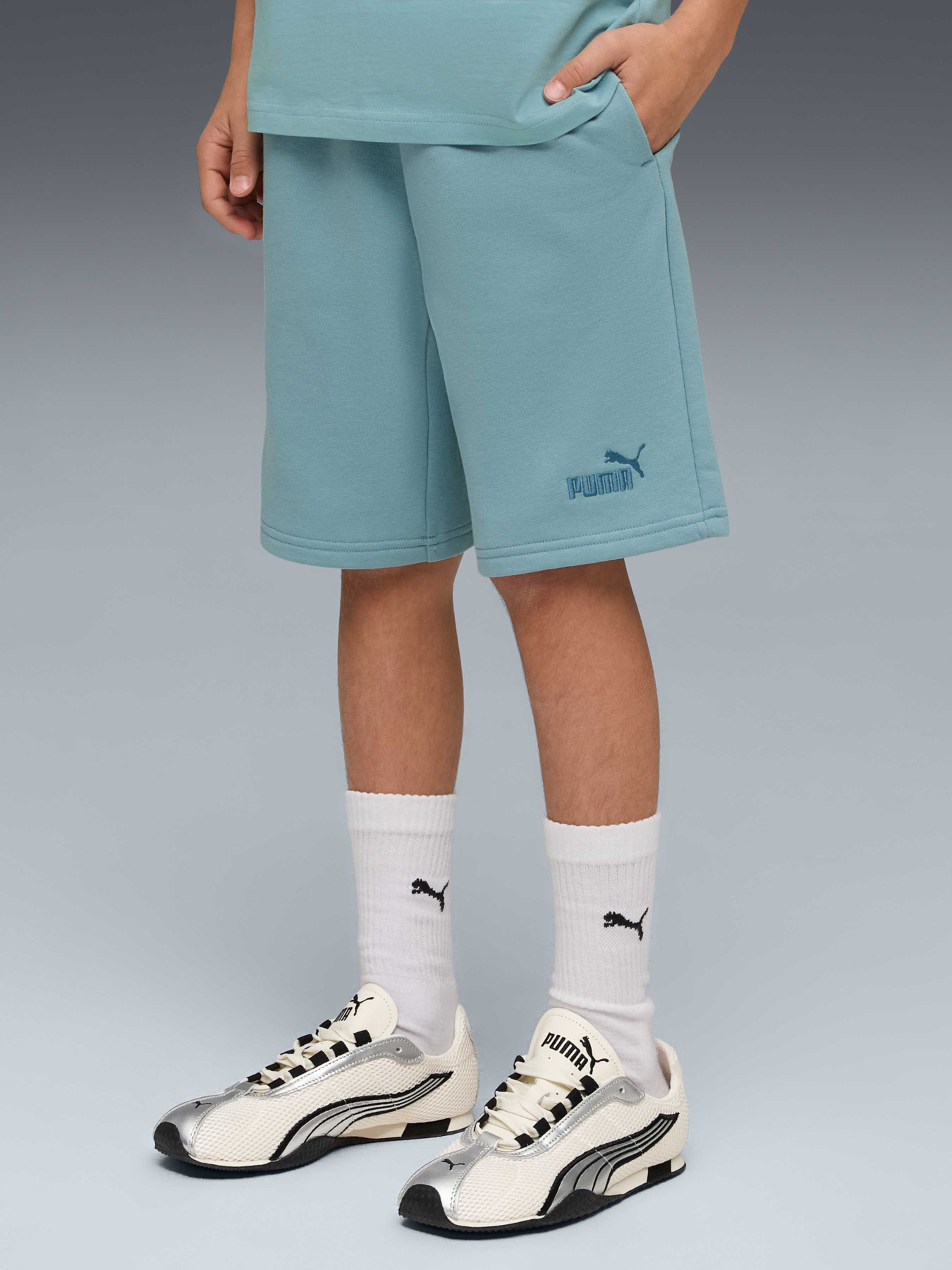 Шорти PUMA Ess Small No.1 Logo Shorts T модель 692974 Фото