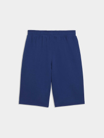 Детские шорты MID 90s Relaxed Long Shorts Youth модель 691748 Фото