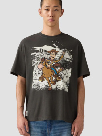 Футболка Levi's модель 0034T;0001 Фото