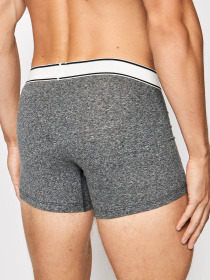 Мужские серые боксеры (2 шт) модель 100001150;010 Фото