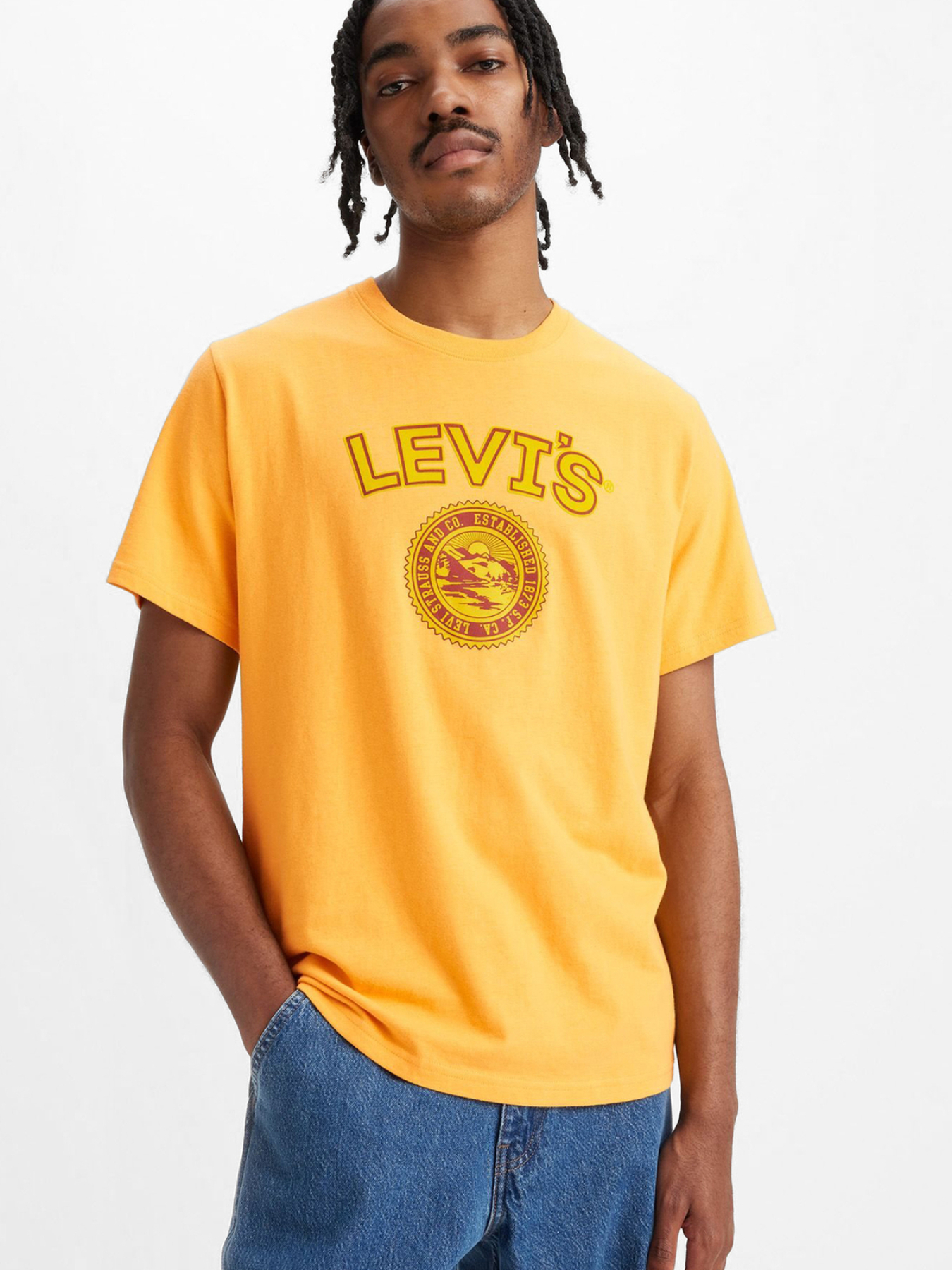 Футболка Levi's модель 16143;1491 Фото