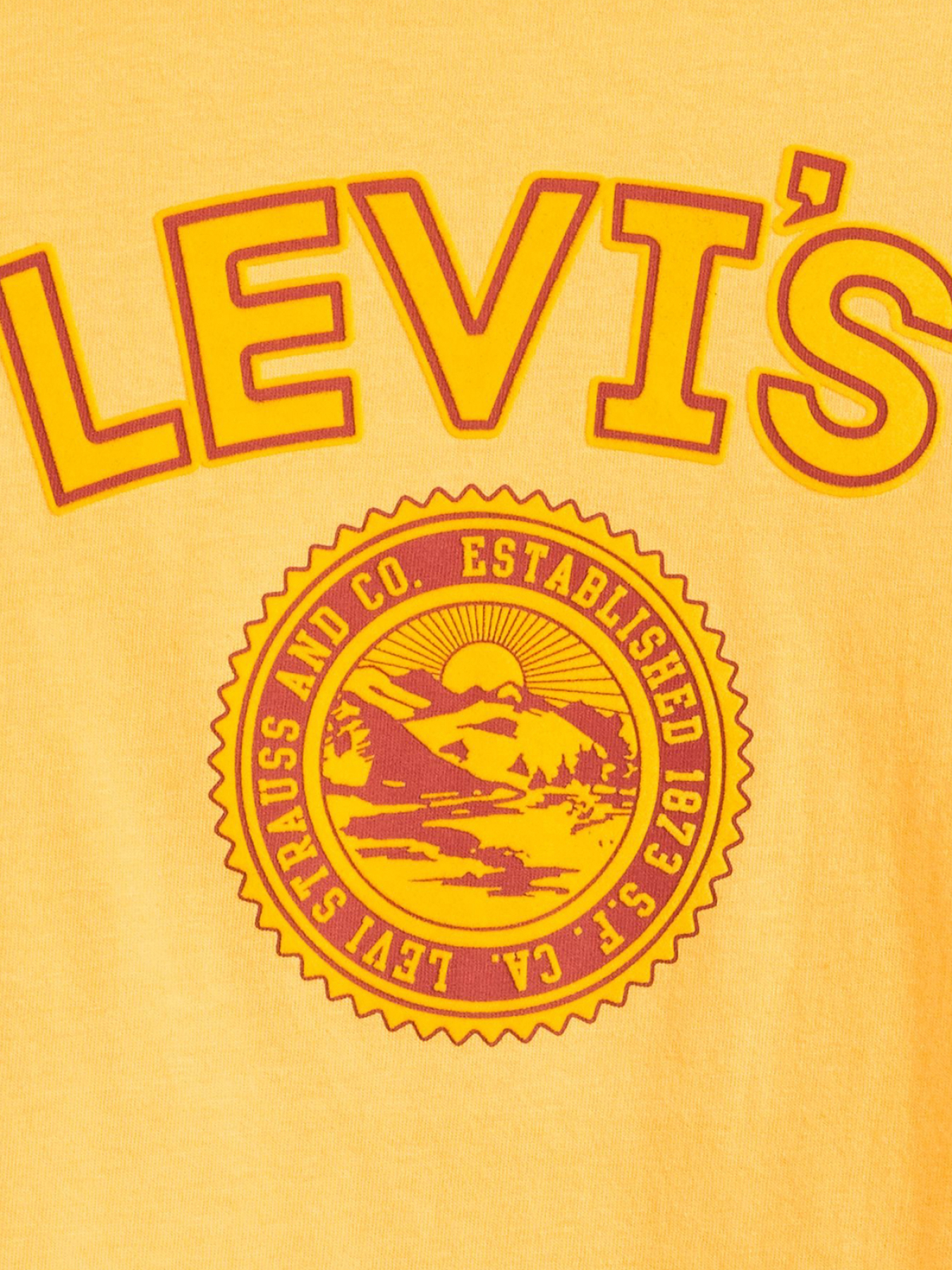 Футболка Levi's модель 16143;1491 Фото