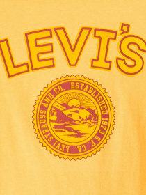 Футболка Levi's модель 16143;1491 Фото