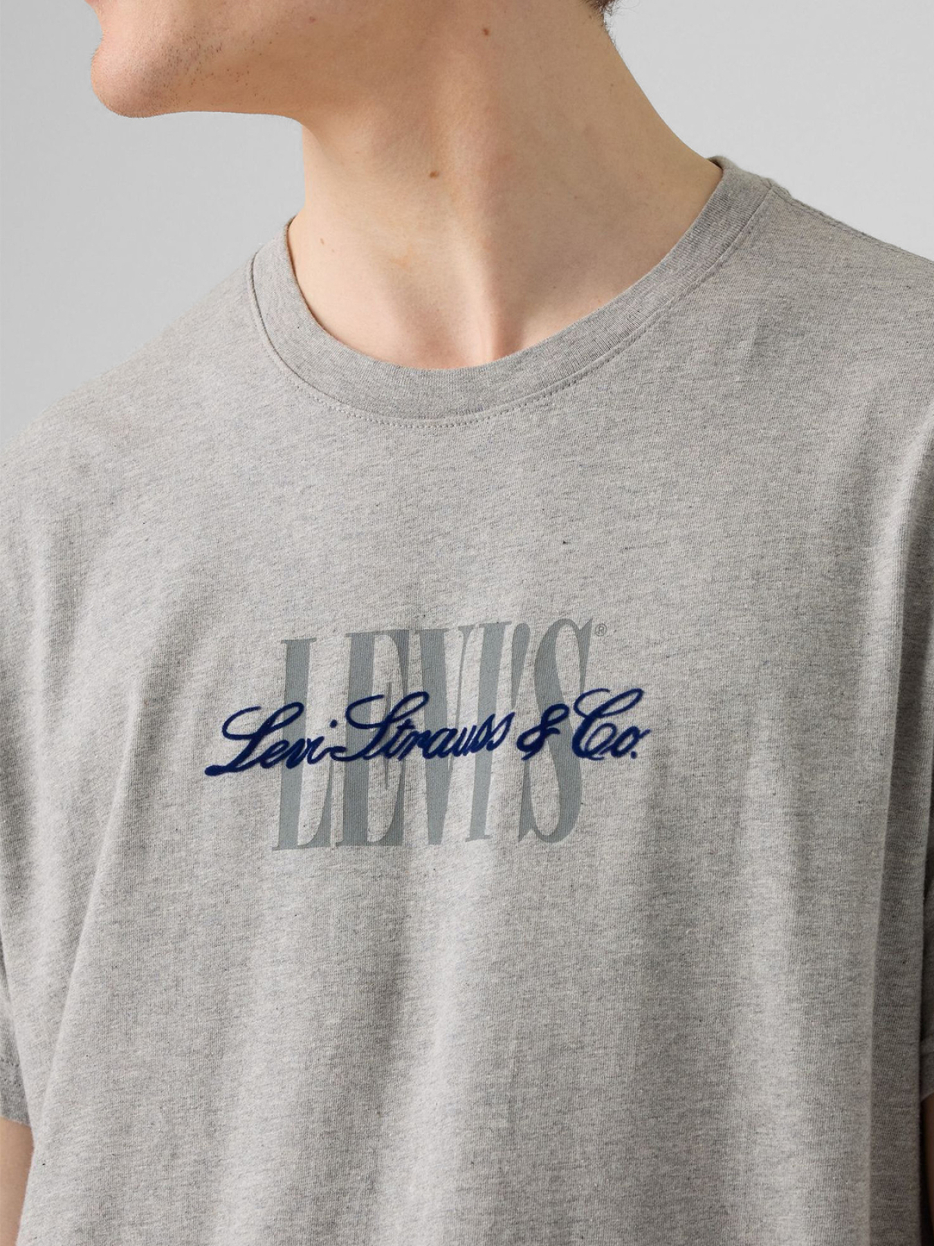 Чоловіча сіра футболка модель 16143;1682 Фото