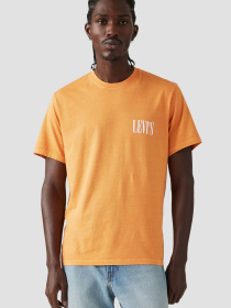 Футболка Levi's модель 16143;1684 Футболка Levi's модель 16143;1684 Фото