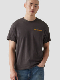 Чоловіча темно-сіра футболка модель 16143;1947 Фото