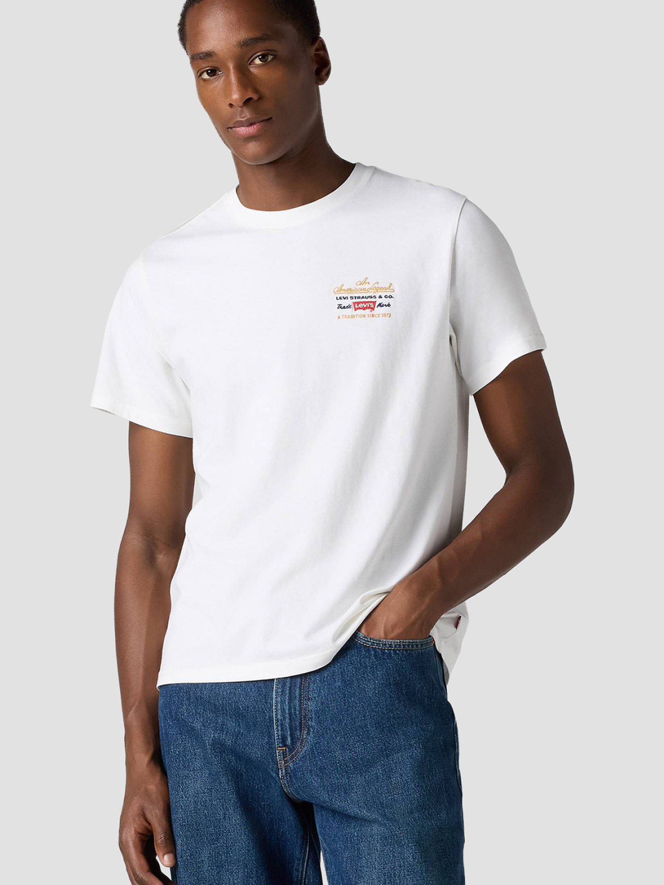 Чоловіча біла футболка модель 16143;2095 Фото