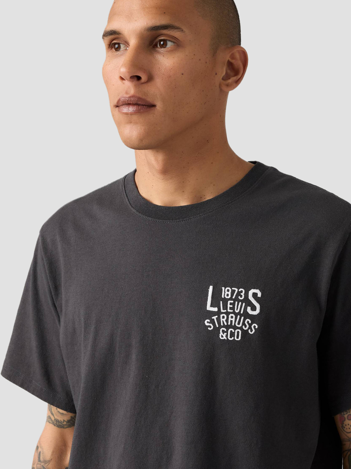 Чоловіча темно-сіра футболка модель 16143;2101 Фото