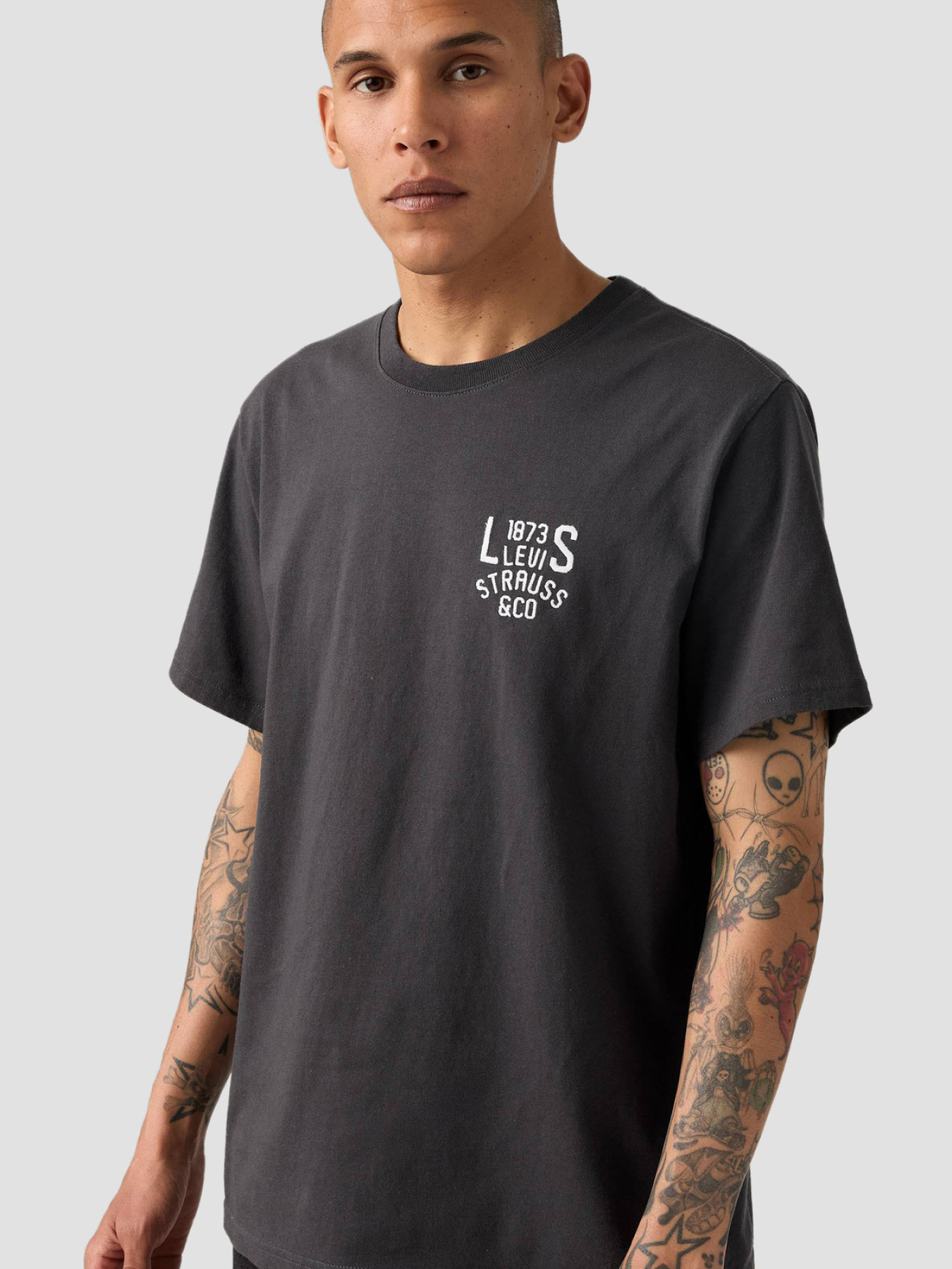 Чоловіча темно-сіра футболка модель 16143;2101 Фото