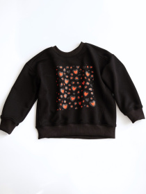 Світшот Alwair Kids модель 81176 Фото