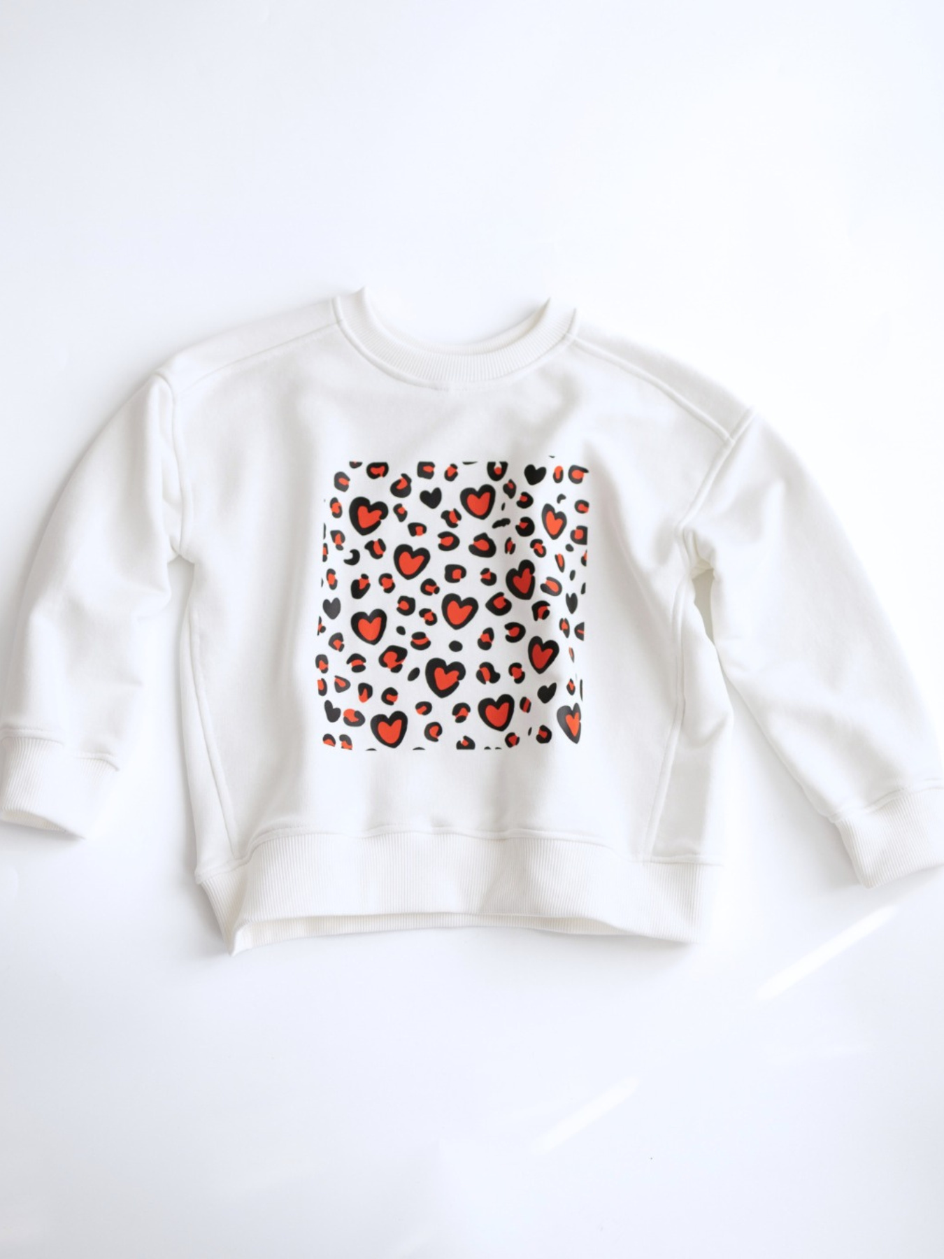 Свитшот Alwair Kids модель 81176 Свитшот Alwair Kids модель 81176 Фото