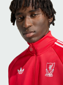 Спортивна кофта Adidas модель JZ0144 Фото