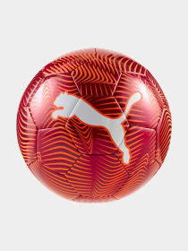 М'ячі PUMA Final Graphic Ball модель 084949 Фото