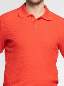 Поло Arber модель M09.36.05.621 Фото