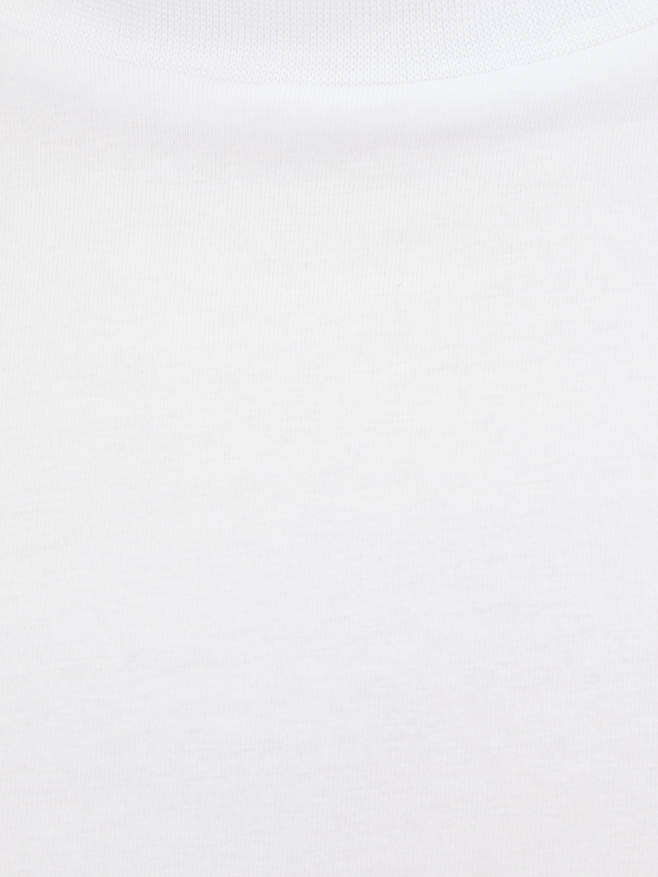 Футболка Karl Lagerfeld модель 500221.755750;10 Фото