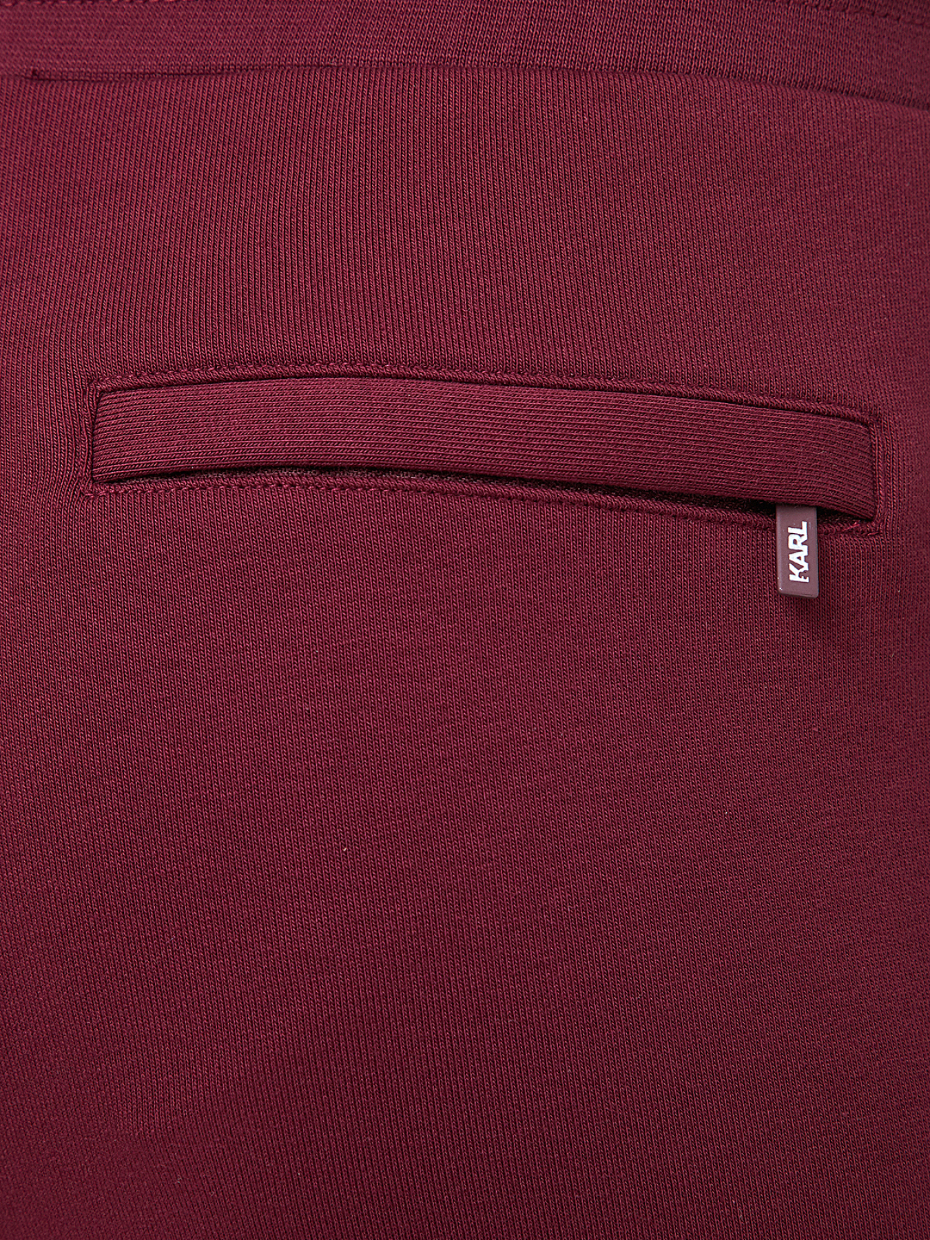 Мужские бордовые спортивные брюки модель 534910.705039;390 Фото